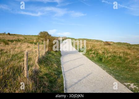 Sentiero di ghiaia deserta che attraversa i prati in una limpida giornata primaverile Foto Stock