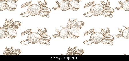 Dragon Eye longan Vector senza cuciture con frutta per alimenti e prodotti cosmetici. Illustrazione di schizzi lineari vintage. Illustrazione Vettoriale