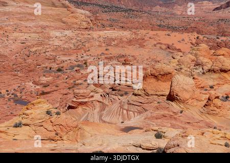 Un'ampia immagine delle iconiche formazioni di arenaria dell'onda in Arizona, che mostrano i motivi vorticosi e i colori vivaci della roccia. L'immagine capt Foto Stock