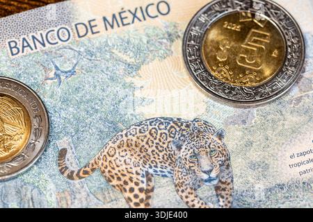 Soldi del Messico. Monete da 2 e 5 dollari e una banconota da 1000 pesos. Concetto finanziario e aziendale. Primo piano Foto Stock