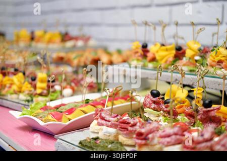 Stuzzichini gourmet disposti splendidamente su piatti, con frutta, carni e cornici vivaci, ideali per riunioni festive e preparazioni culinarie Foto Stock