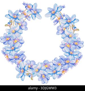 Una delicata illustrazione quadrata ad acquerello con una corona di fiori di epatica blu. La disposizione floreale è isolata su sfondo bianco per gli spri Foto Stock