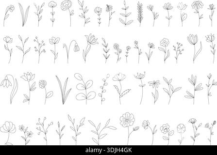 Grande set di fiori selvatici ed erbe disegnati a mano. Collezione botanica. Clip art di fiori, rami, erbe, ramoscelli e fogliame. Pacchetto Natural Eco Illustrazione Vettoriale