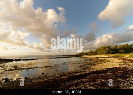 Alba sulla spiaggia di Mauritius Foto Stock