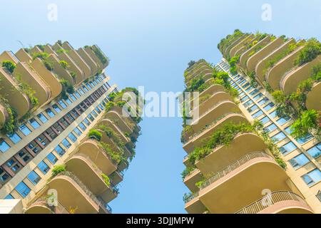 Foresta verticale, architettura verde. Due alte torri residenziali con lussureggianti balconi verdi, viste dal basso nella città di Chengdu, Cina. Città ecocompatibile Foto Stock
