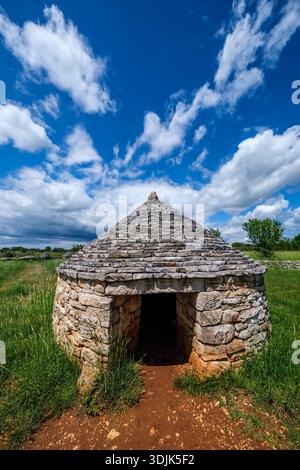 Una tradizionale capanna in pietra secca sorge in un campo erboso a Vodnjan sotto un cielo blu luminoso con grandi nuvole bianche e alberi in lontananza. Foto Stock