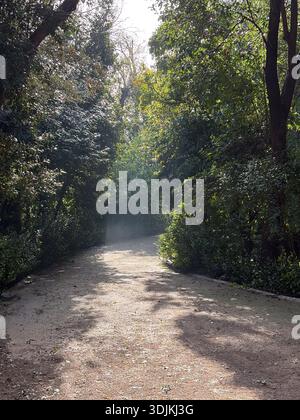 Giardino nazionale, Εθνικός Κήπος. Atene, Grecia, percorso del parco pubblico fiancheggiato da fitti alberi e dalla luce del sole. Il giardino reale ha aperto nel 1923. Foto Stock