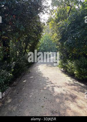 Giardino nazionale di Atene, Εθνικός Κήπος. Fondato nel 1840, questo sentiero mostra una lussureggiante vegetazione e una luce solare soffusa tipica del parco pubblico di Atene Foto Stock