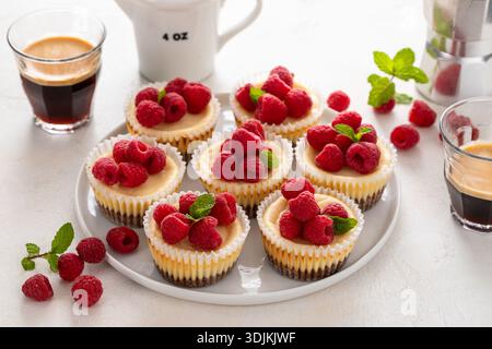 Mini cheesecake condite con lamponi freschi per San Valentino Foto Stock