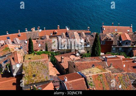 Vista dall'alto dal Campanile della Chiesa di Sant'Eufemia sui tetti di terracotta rossa delle case di Rovigno lungo la costa blu del mare Adriatico. Foto Stock