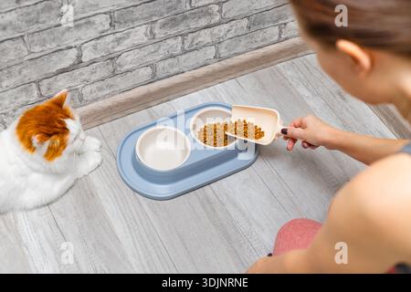 L'apparecchio versa il cibo secco in un recipiente per il gatto. Una donna spende del cibo per un gatto. prendersi cura di un gatto domestico. paletta per alimenti secchi. dare da mangiare al gatto. Foto Stock