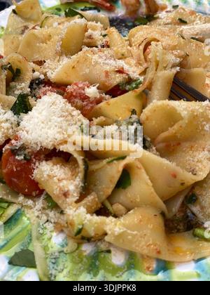 Piatto fumante di linguine condite con salsa di pomodoro piccante con erbe fresche e parmigiano grattugiato Foto Stock