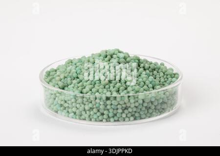 Una pila di concime verde chiaro a rilascio lento è ordinatamente disposta in una piastra di Petri poco profonda e trasparente su uno sfondo bianco semplice. Foto Stock