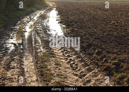 cingoli degli pneumatici nel terreno fangoso Foto Stock