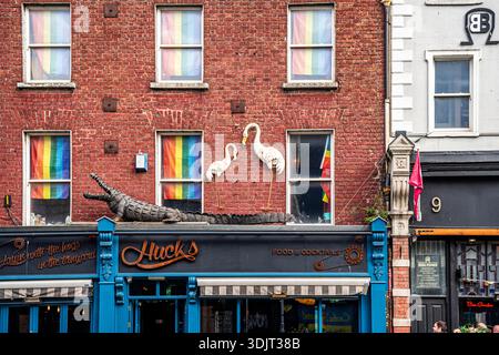 Facciata colorata di Huck's su Camden Street, un vivace bar nel centro della città con bandiere arcobaleno e giocose sculture di fenicottero, a Dublino, Irlanda Foto Stock
