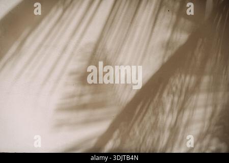 Tenui ombre di foglie di palma gettate su una parete di stucco illuminata dal sole a Tulum Foto Stock