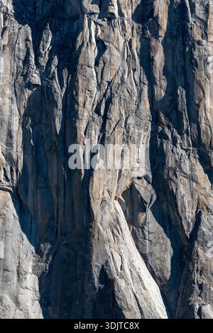 Scalatori a El Capitan, Yosemite National Park, California, Stati Uniti. Foto Stock