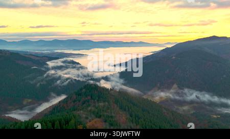 Alba sulla nebbiosa valle di montagna con la foresta. Splendida vista aerea dell'alba sopra valli di montagna piene di nebbia e pendii densamente boscosi Foto Stock