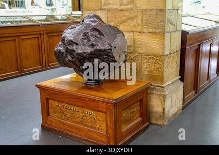 Grande esemplare di ferro meteorico proveniente da campo del cielo, Argentina, esposto su un piedistallo in legno all'interno di una galleria di collezioni scientifiche del museo classico. Foto Stock