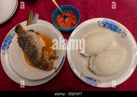 Tilapia in stufato di pomodoro, servita con ugali (noto anche come Nshima o Sadza) e salsa Piri-Piri Foto Stock