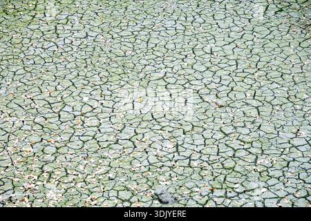 La terra secca a Chengdu, Sichuan, mostra gli effetti delle condizioni meteorologiche secche Foto Stock