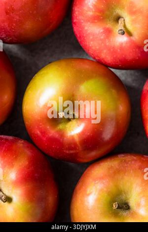 Sane mele McIntosh rosse stagionali in un mucchio Foto Stock