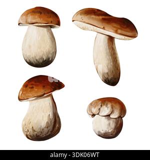 Una serie di funghi forestali. Molti funghi diversi. Tappo marrone e stelo bianco. Raccolto autunnale. Illustrazione acquerello isolata dallo sfondo Foto Stock