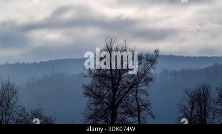 Paesaggio mistico della foresta nella fitta nebbia mattutina Foto Stock