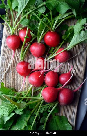 Raggiera fresca con foglie su una superficie rustica in legno. Verdure di stagione per mangiare in modo pulito e atmosfera da cucina di campagna Foto Stock