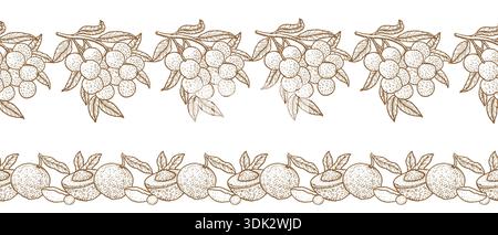 Modello longan Fruit Seamless Border per imballaggi alimentari, tessuti e carta da imballaggio. Bordo di schizzo dei frutti tropicali. Illustrazione Vettoriale