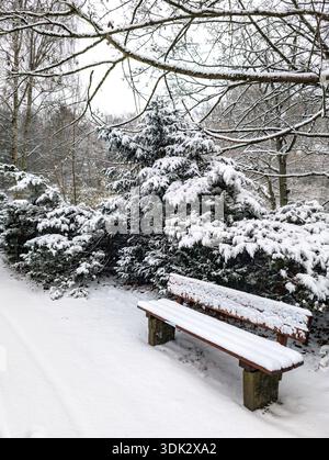Una panchina innevata in un parco (Barnstorf Forest, Rostock, Germania) Foto Stock
