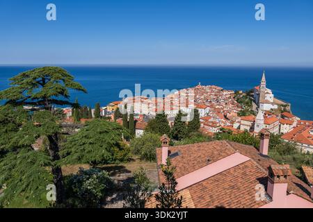 Vista sulla pittoresca città di Pirano sul mare Adriatico in Slovenia. Foto Stock