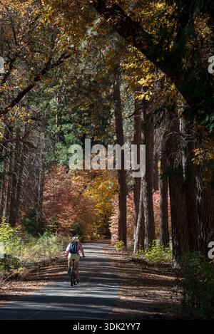 Donna in bicicletta su una pista ciclabile nella Yosemite Valley, Yosemite National Park, California, Stati Uniti. Foto Stock
