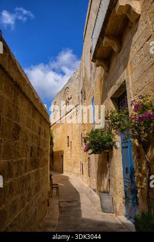 Strada stretta tra edifici in pietra nella città vecchia di Mdina a Malta. Foto Stock