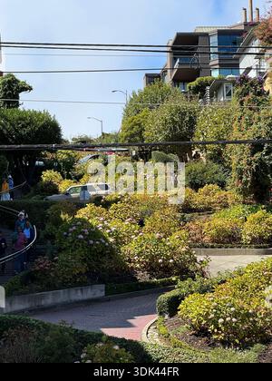 Lombard Street strada tortuosa con giardini e case a San Francisco, California, Stati Uniti. Foto Stock