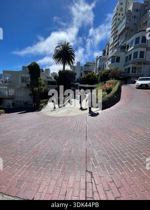 Lombard Street con curve in mattoni e palme in una giornata di sole a San Francisco, California, Stati Uniti. Foto Stock