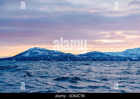 Norvegia, Fylke Troms, Skjervøy, Kvænangen, Landscape, montagne innevate Foto Stock