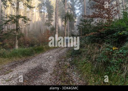 Escursionisti sulla strada per Zinnkopf, Ruhpolding, Alpi Chiemgau, Baviera Foto Stock