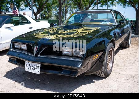 Vista frontale di tre quarti di una spettacolare Pontiac Firebird Trans AM nera di seconda generazione, con la decalcomania Phoenix dorata sul cofano Foto Stock