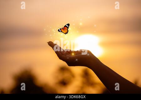 Farfalla appoggiata su Finger Tip contro Golden Sunset Sky. Farfalla che riposa tocco di mano libertà ispirazione concetto natura speranza serenità andare Foto Stock