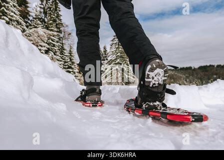 Ciaspolate in un ambiente innevato il giorno invernale Foto Stock