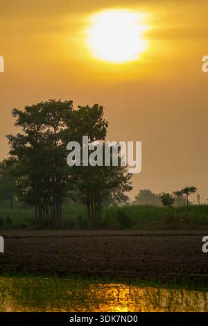 La vista della luce dorata del sole bagna il paesaggio, illuminando gli alberi e riflettendo sulla superficie ferma dell'acqua a Lahore, Punjab, Pakistan. Foto Stock