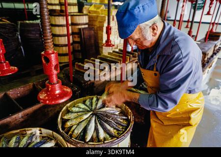 Gli uomini che lavorano all'interno del Pilchard lavorano a Newlyn, in Cornovaglia, mostrando il tradizionale processo di salatura, pressatura e confezionamento di pilchards per l'esportazione. Foto Stock