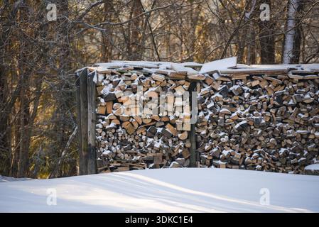 Legna da ardere impilata coperta di neve fresca in una foresta invernale. Tagliare i tronchi conservati in modo ordinato all'aperto, rappresentando la preparazione per le basse temperature e la sostenibilità Foto Stock