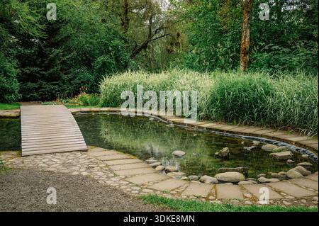 Un piccolo laghetto nel giardino botanico Akureyri in Islanda Foto Stock