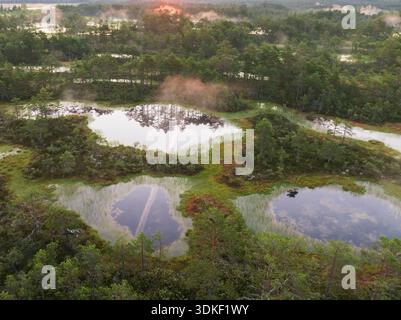 Vista aerea ad alto angolo di un mistico paesaggio di torbiere estoni con alberi di pino e piscine d'acqua all'alba. Foto Stock