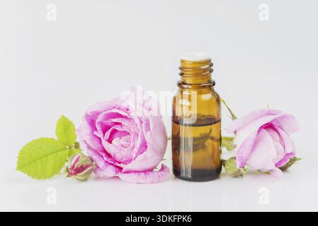 Fiala con olio essenziale e due rose isolate su sfondo bianco Foto Stock