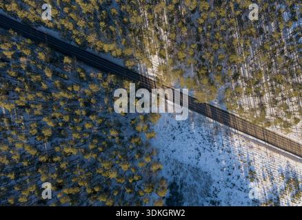 Vista aerea di una strada a due corsie dritta in Polonia, che taglia diagonalmente le conifere spolverate di neve. Le ombre lunghe degli alberi attraversano il terreno bianco e l'asfalto A. Foto Stock