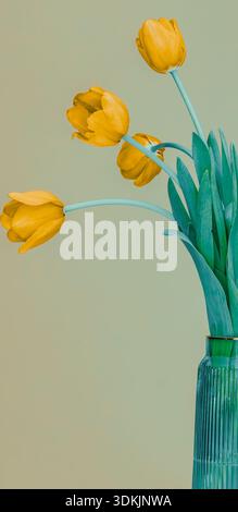 Tulipani gialli vibranti con steli piegati in un vaso in vetro color ottanio con nervature, composizione minimale con ampio spazio negativo su sfondo salvia. Foto Stock