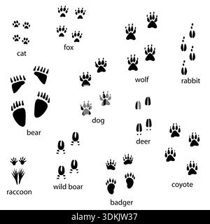 Varie silhouette con zampe animali comuni Illustrazione Vettoriale